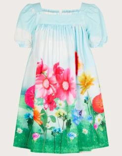 MONSOON Floral Meadow Dress Blue