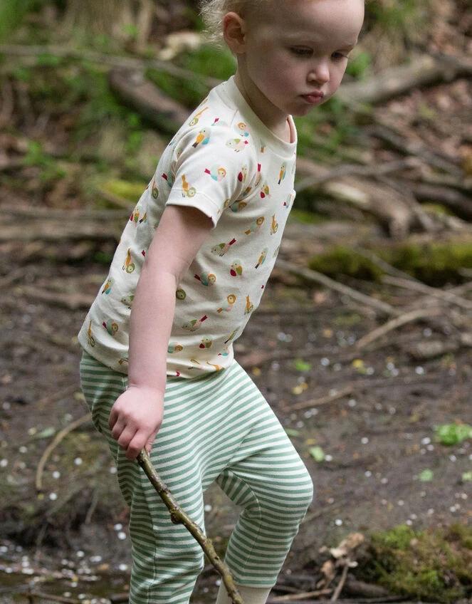 Little Green Radicals Little Bird T-Shirt And Jogger Playset Multi 2 Little Green Radicals Little Bird T-Shirt And Jogger Playset Multi - Image 2