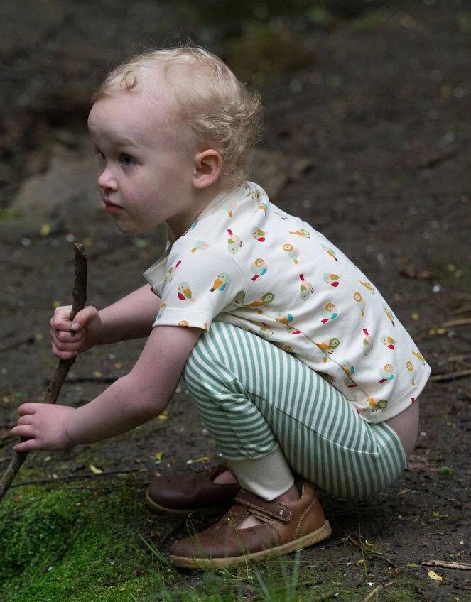 Little Green Radicals Little Bird T-Shirt And Jogger Playset Multi 4 Little Green Radicals Little Bird T-Shirt And Jogger Playset Multi - Image 4