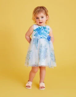 MONSOON Baby Heidi Tulle Print Dress Blue